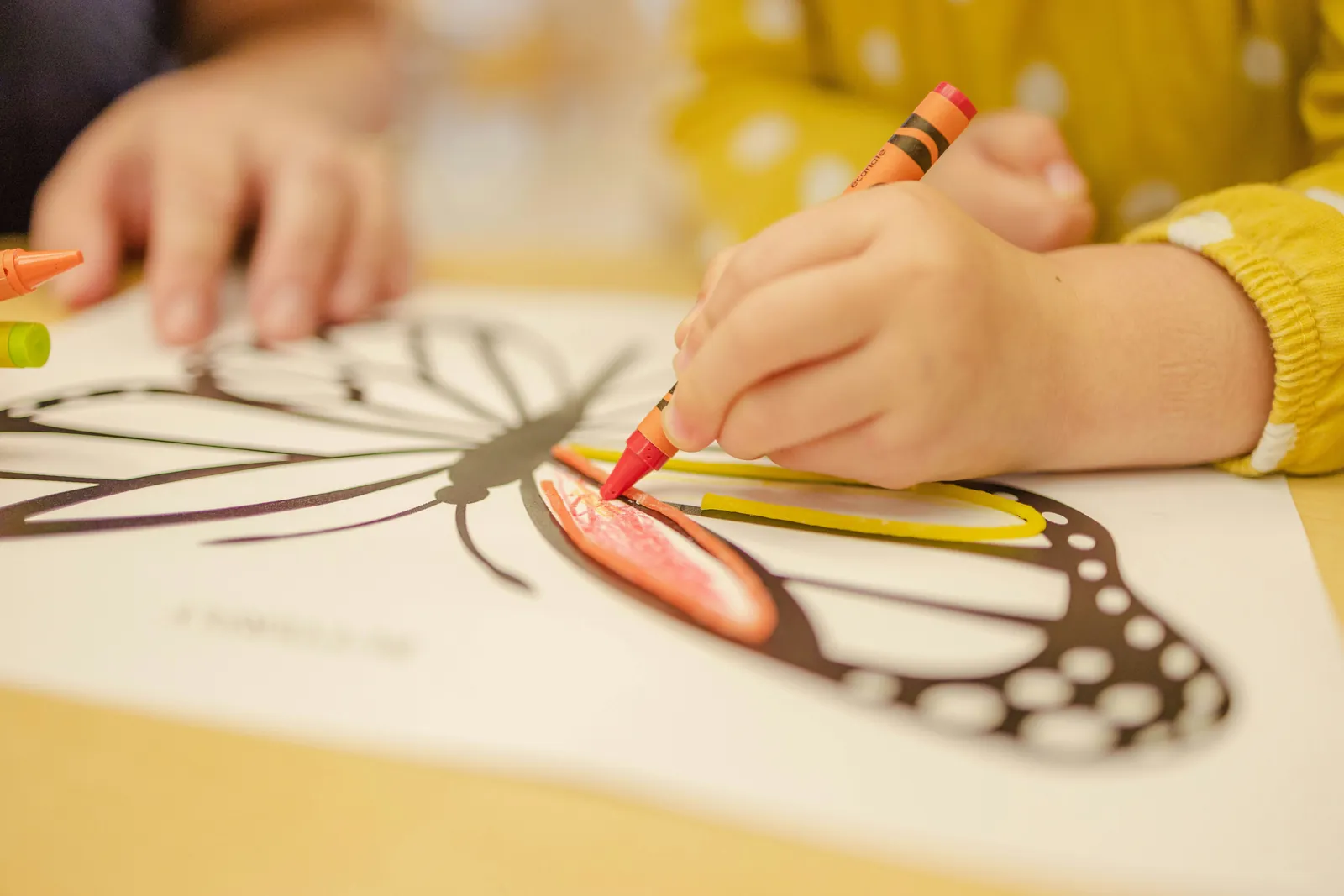 Enfant coloriant un papillon aux crayons lors d'un atelier créatif à la crèche Al Hay Al Jadid